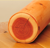 特上巻きずし型置きクッションです 特上巻きずし型置きクッション